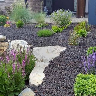 Landscaped front garden with purple flowering plants