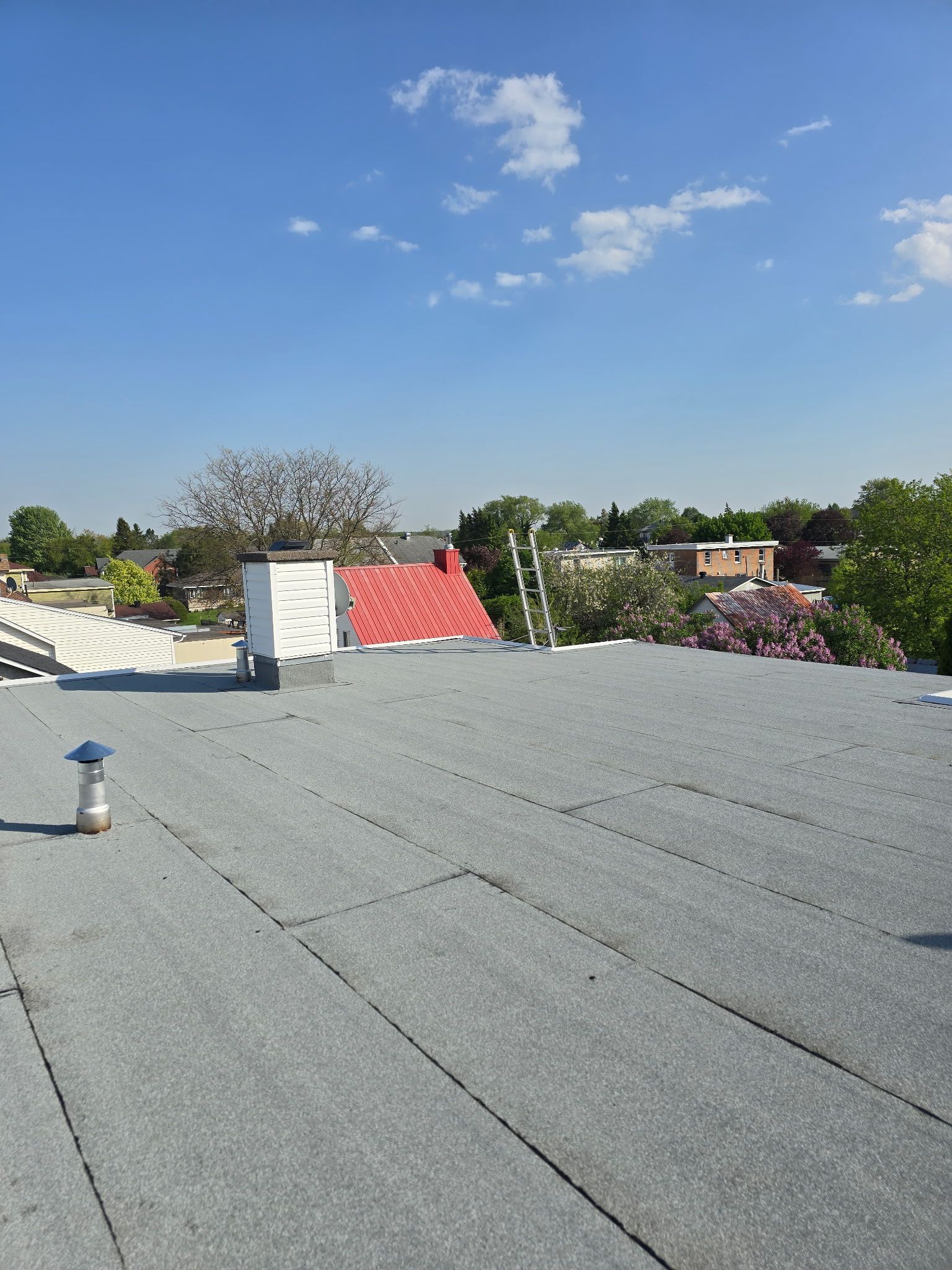 Toit-terrasse recouvert de gravier gris, marches rouges et ciel bleu clair au-dessus des arbres et des bâtiments