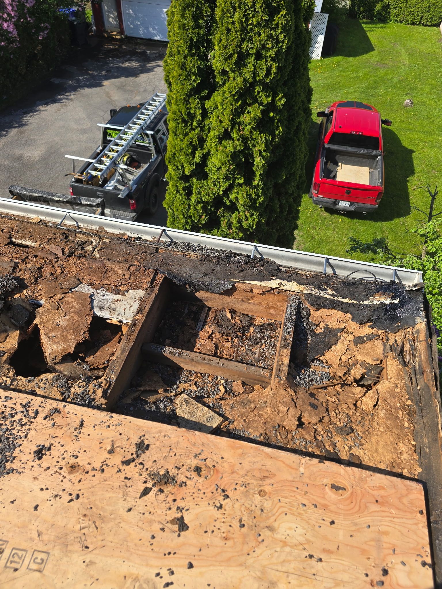 Toiture en réparation avec charpente apparente, un grand arbre et une voiture rouge garée en contrebas, dans la cour.