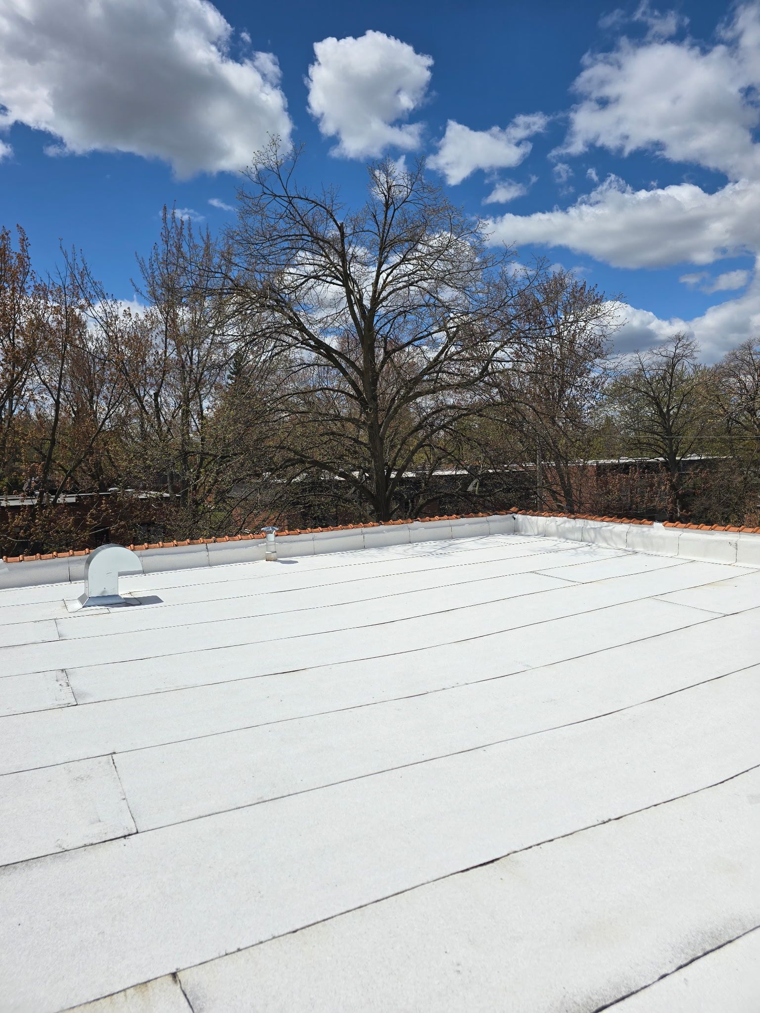 Toit enneigé avec une ouverture de ventilation, sous un ciel bleu nuageux avec des arbres dénudés en arrière-plan.