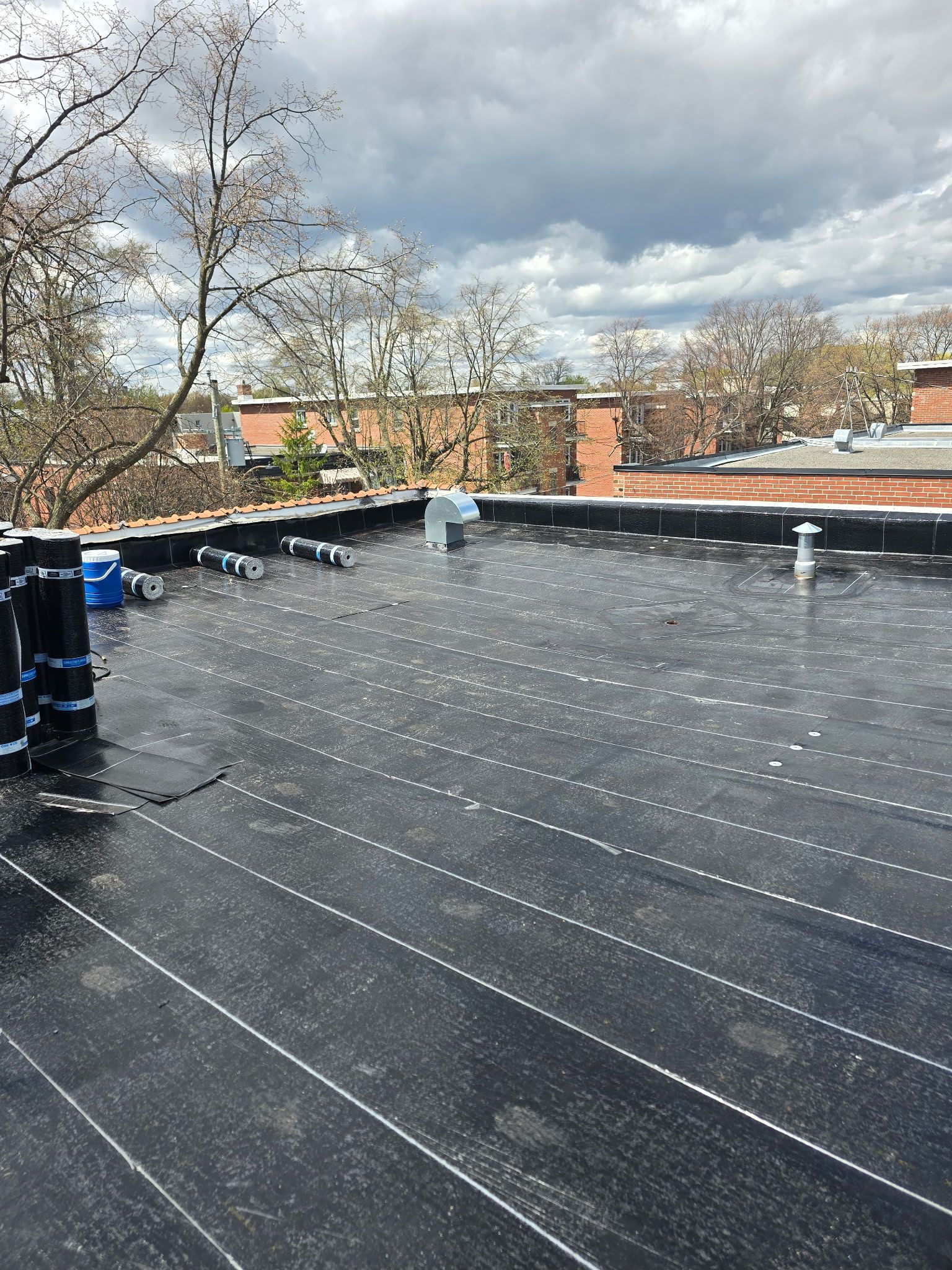 Toit plat recouvert d'une membrane sombre, murets, arbres sans feuilles et ciel nuageux en arrière-plan.