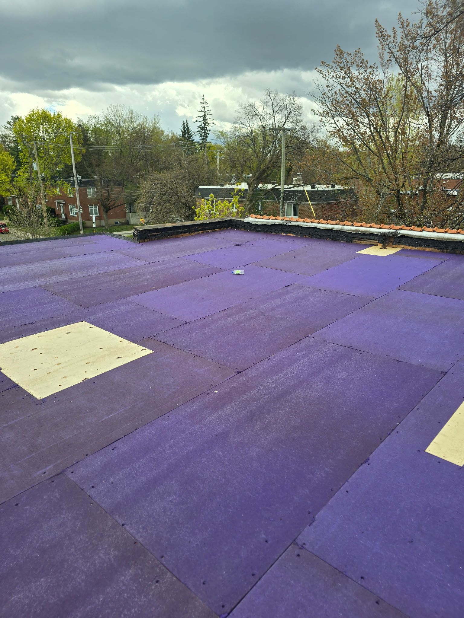Toit violet sous un ciel nuageux, avec des arbres et des toits au loin.