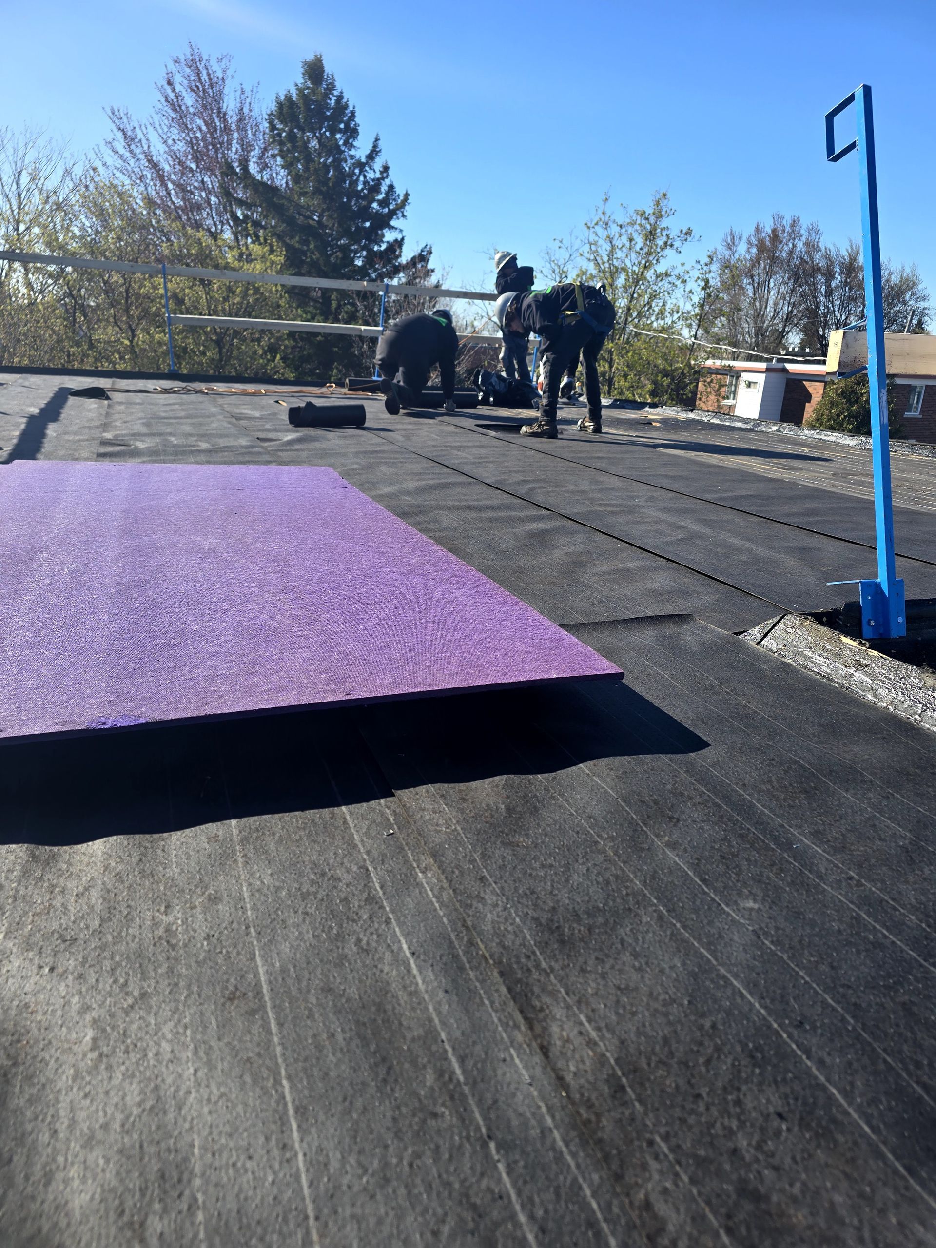 Deux ouvriers sur un toit noir, à côté d'une bâche violette, sous un ciel bleu clair.