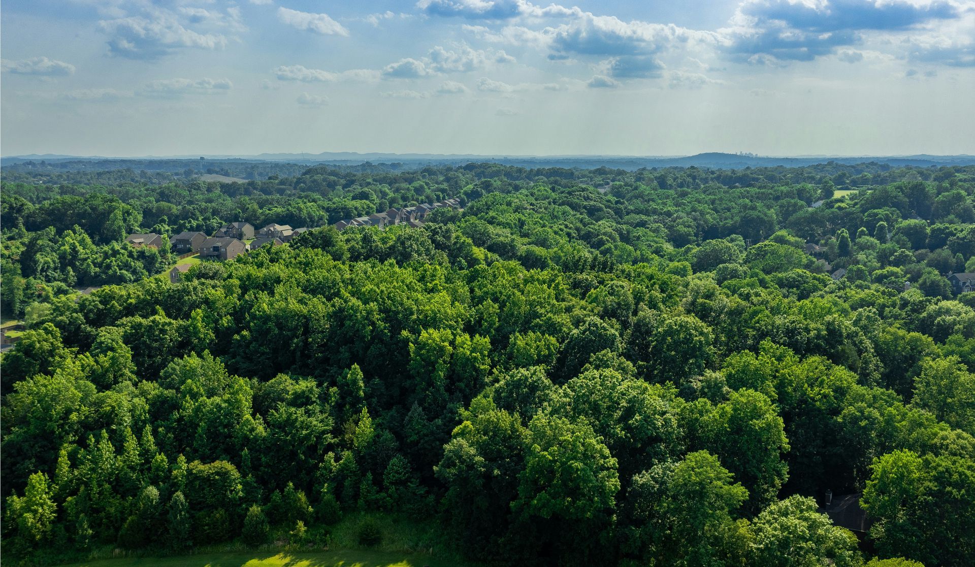 Aerial view of a lush green forest stretching to the horizon under a partly cloudy blue sky.