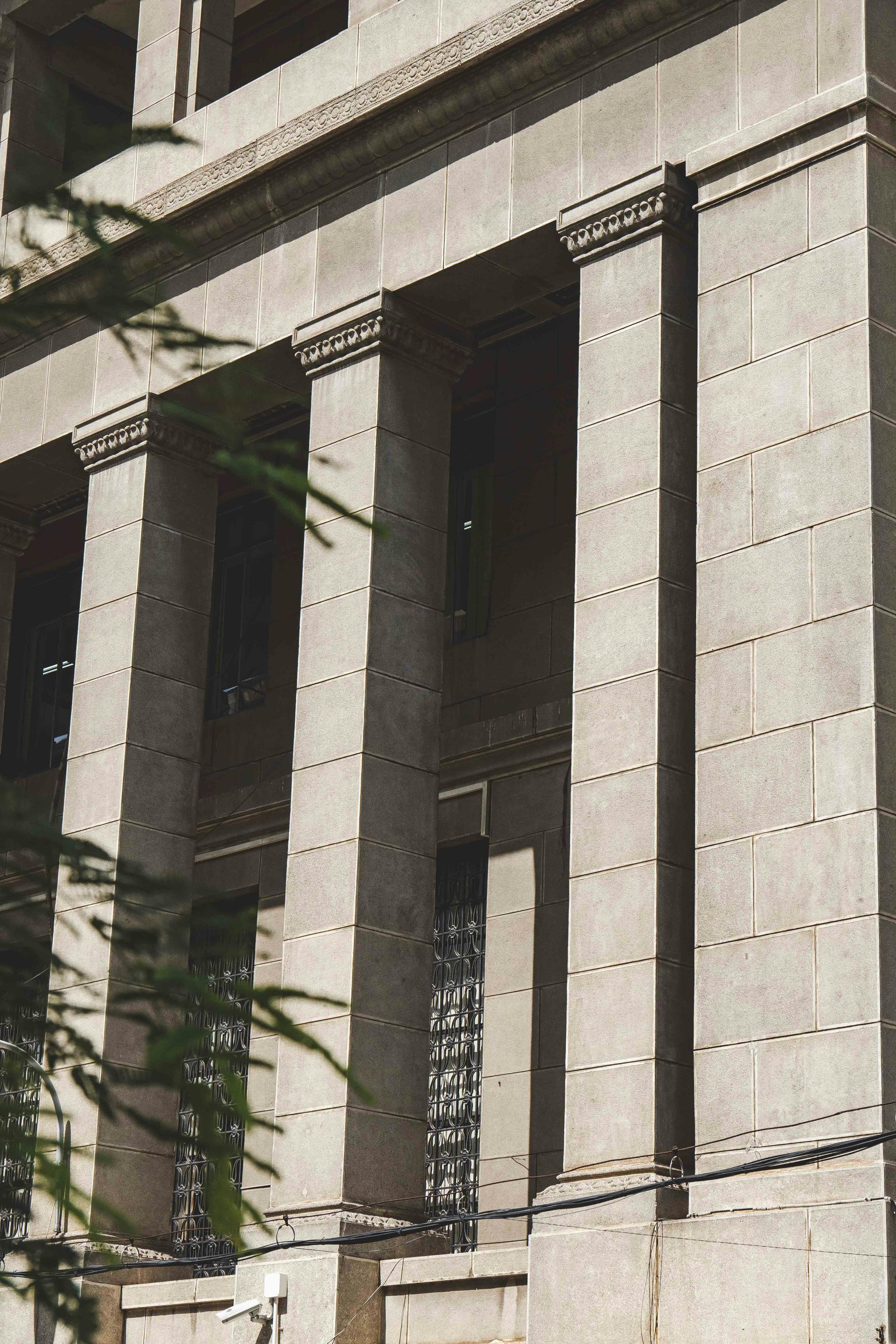 Stone building facade with tall rectangular windows and vine shadows