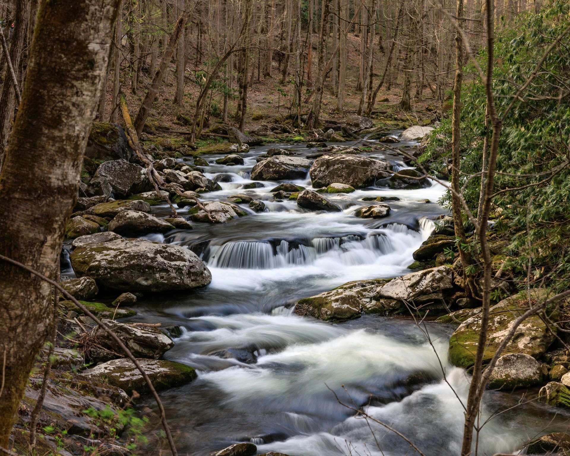 Rocky forest stream with cascading water flowing through leafless trees