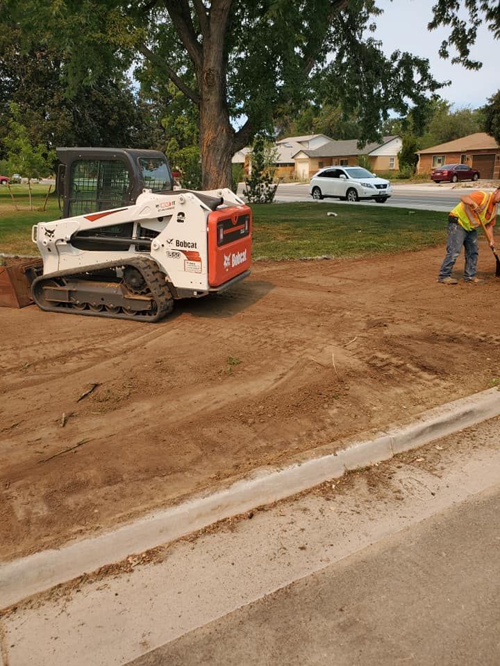 Bobcat and worker on dirt surface near curb, houses in background.