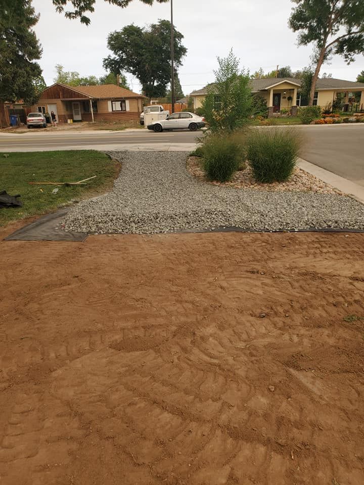 Dirt yard with gravel landscaping. Two small bushes next to a driveway. Houses in background.