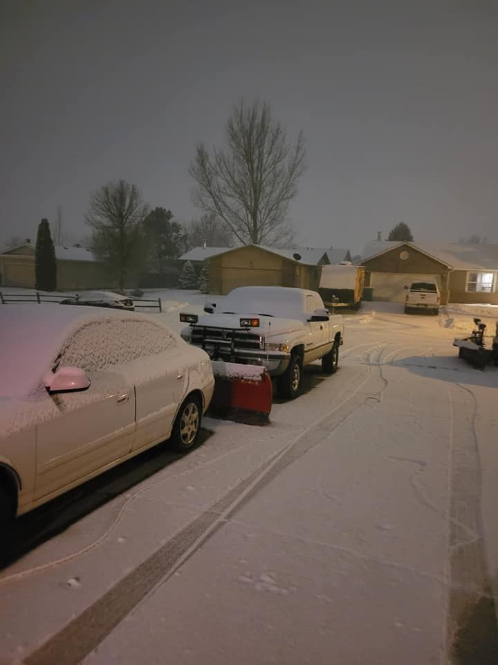 Snowy residential street with snow-covered cars, a tree, and houses. It is nighttime, and snow is falling.