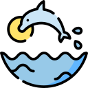 drawing of dolphin leaping out of water