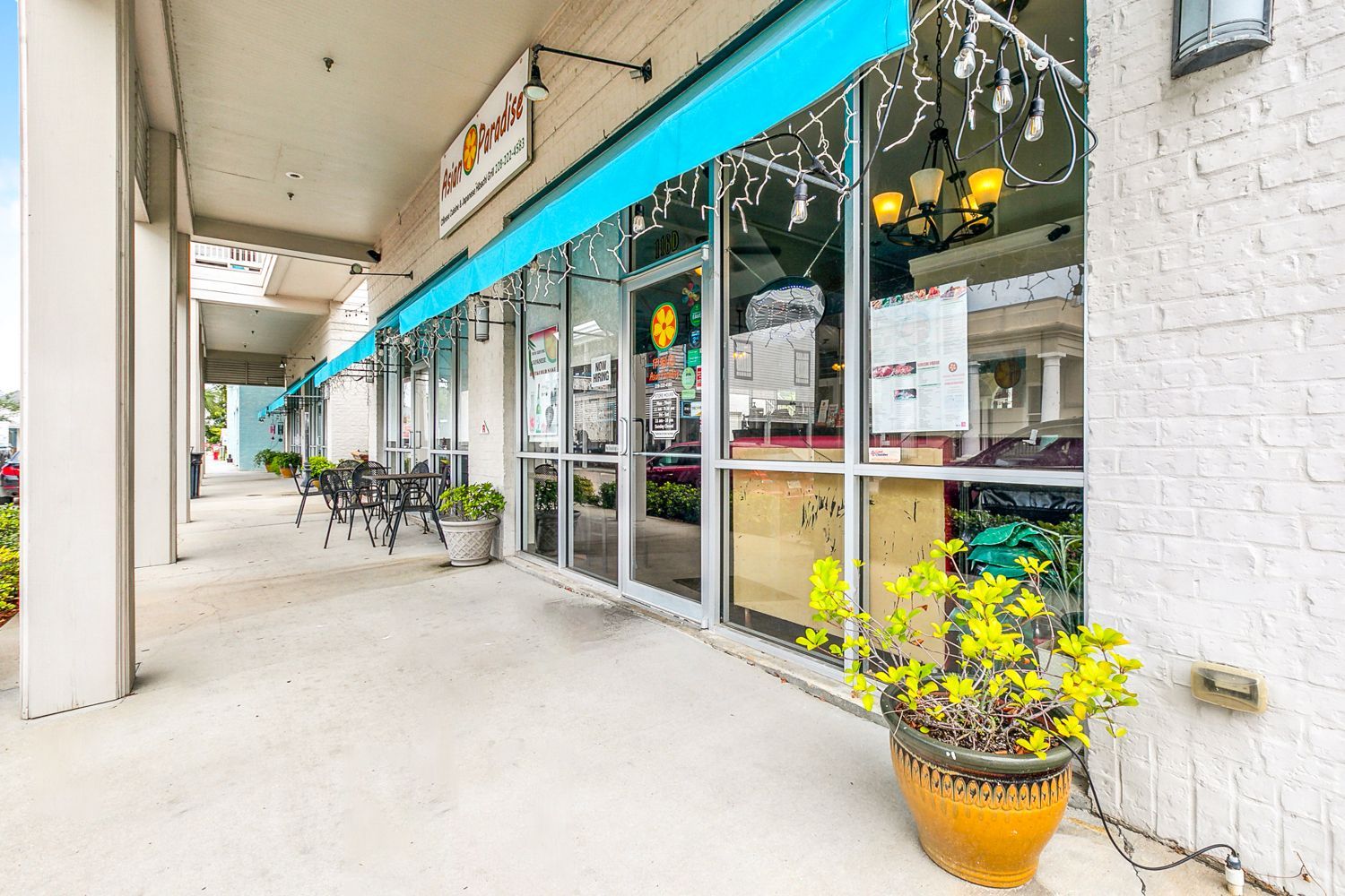 A potted plant is sitting in front of a restaurant.