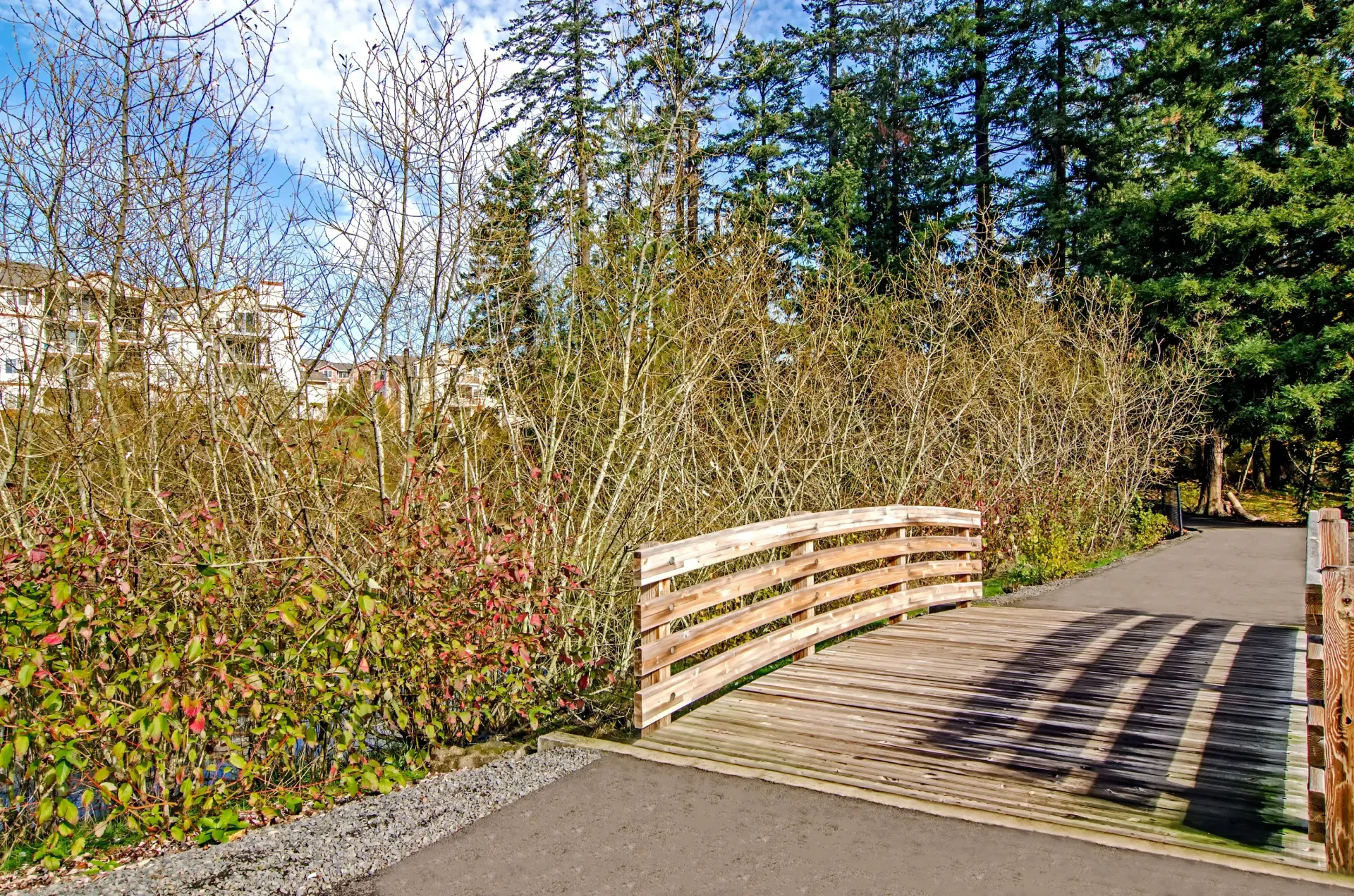 Park with walking path, lush green grass, and tall trees under a blue sky.