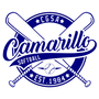 Logo for league