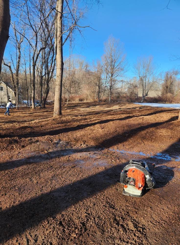 Leaf-covered woodland path with a chainsaw on muddy ground under a bright blue sky