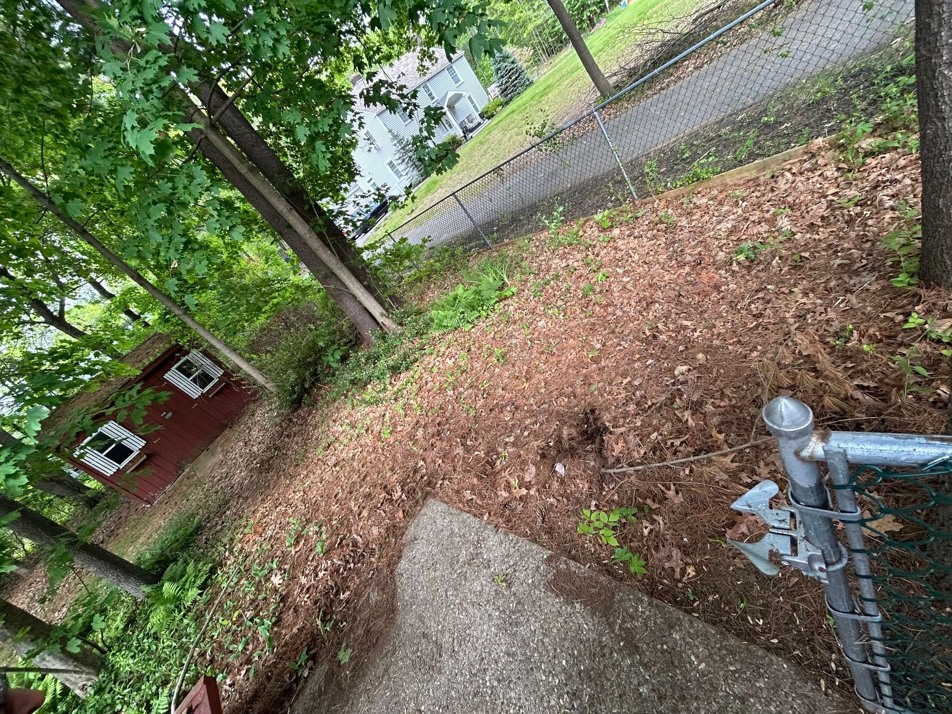 Leaf-covered yard with a concrete path, trees, a red house, and a chain-link fence along the roadside.