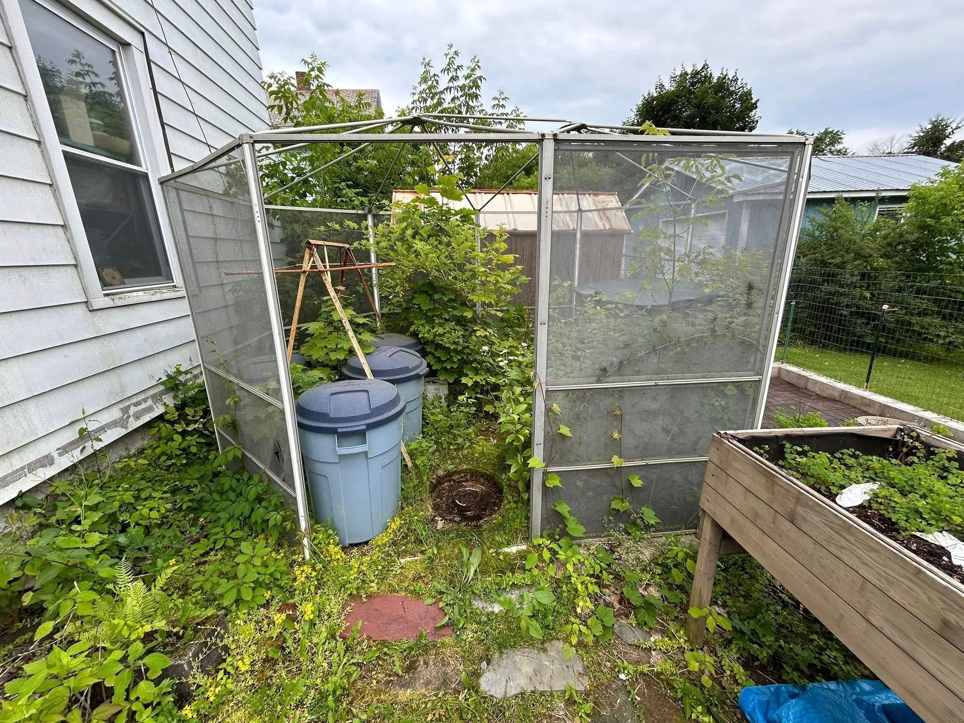 Backyard garden enclosure with mesh walls, a blue bin, and raised planter beds beside a house