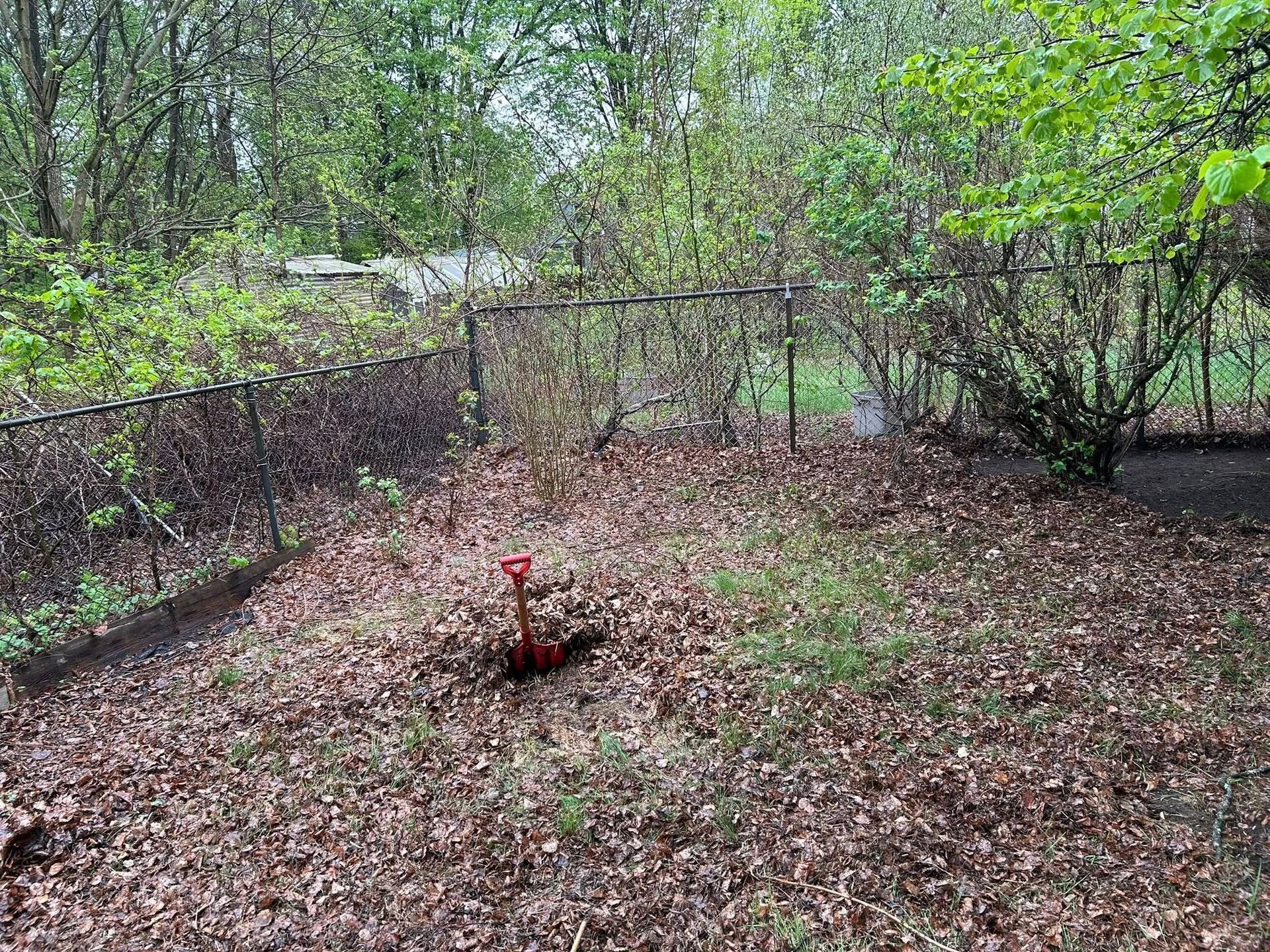 Backyard with leaf-covered ground, chain-link fence, and a small red garden marker in the center
