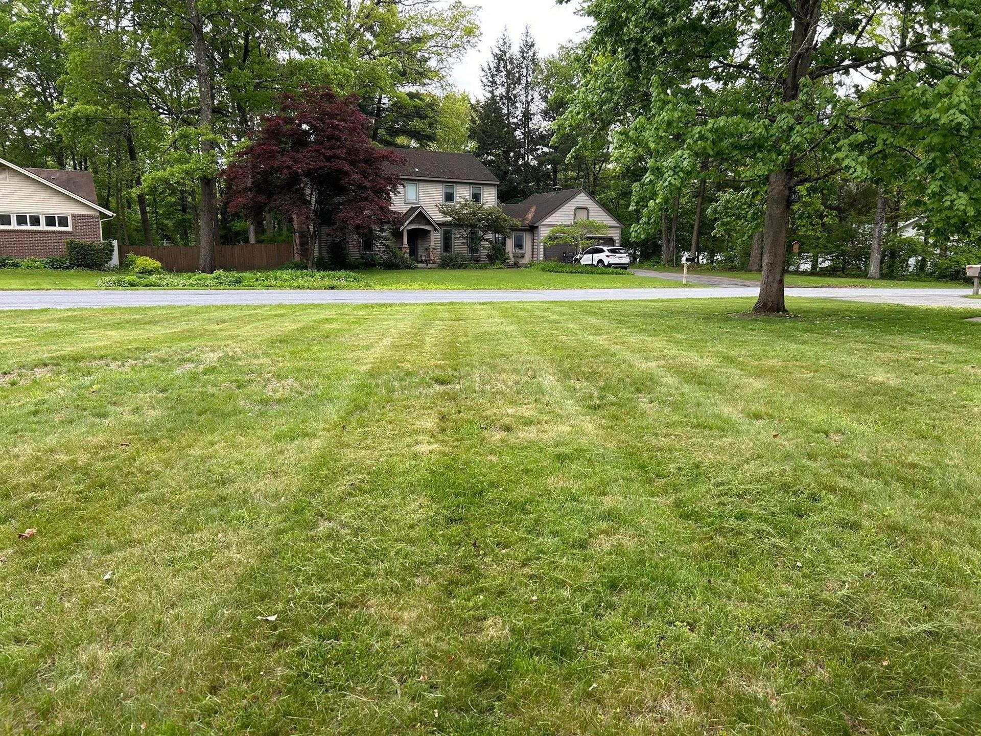 Grassy suburban lawn with trees and houses in the background on a cloudy day