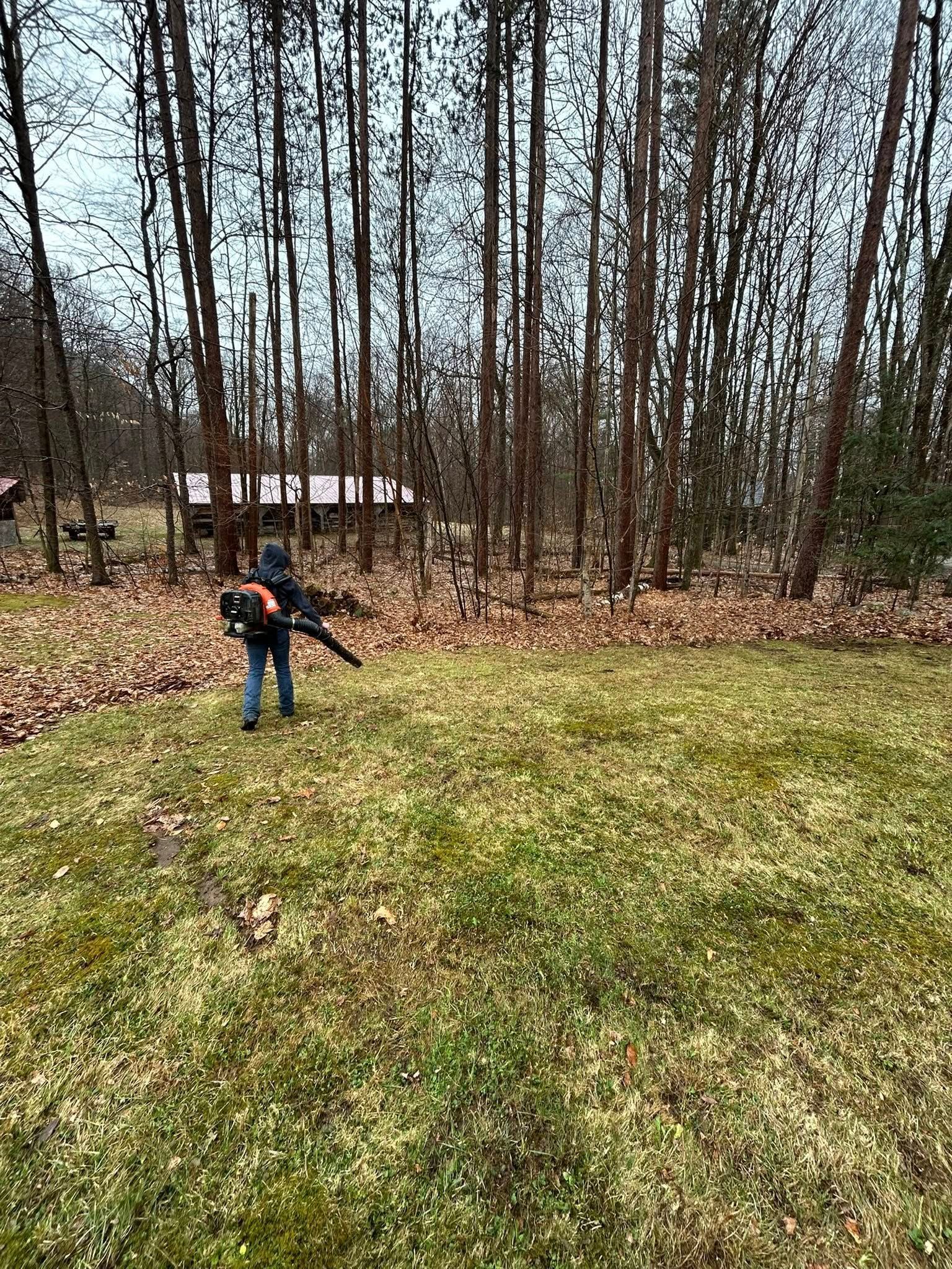 Person with a leaf blower on a grassy yard beside tall bare trees in overcast weather