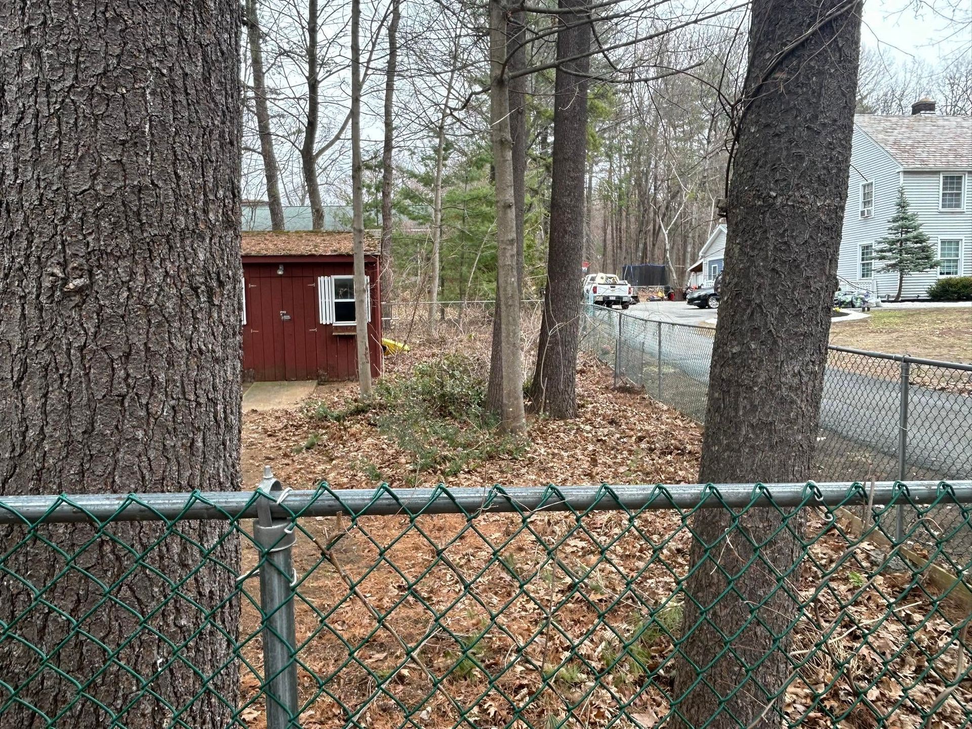 Backyard fenced with trees, a red shed, and houses along a street in the background.