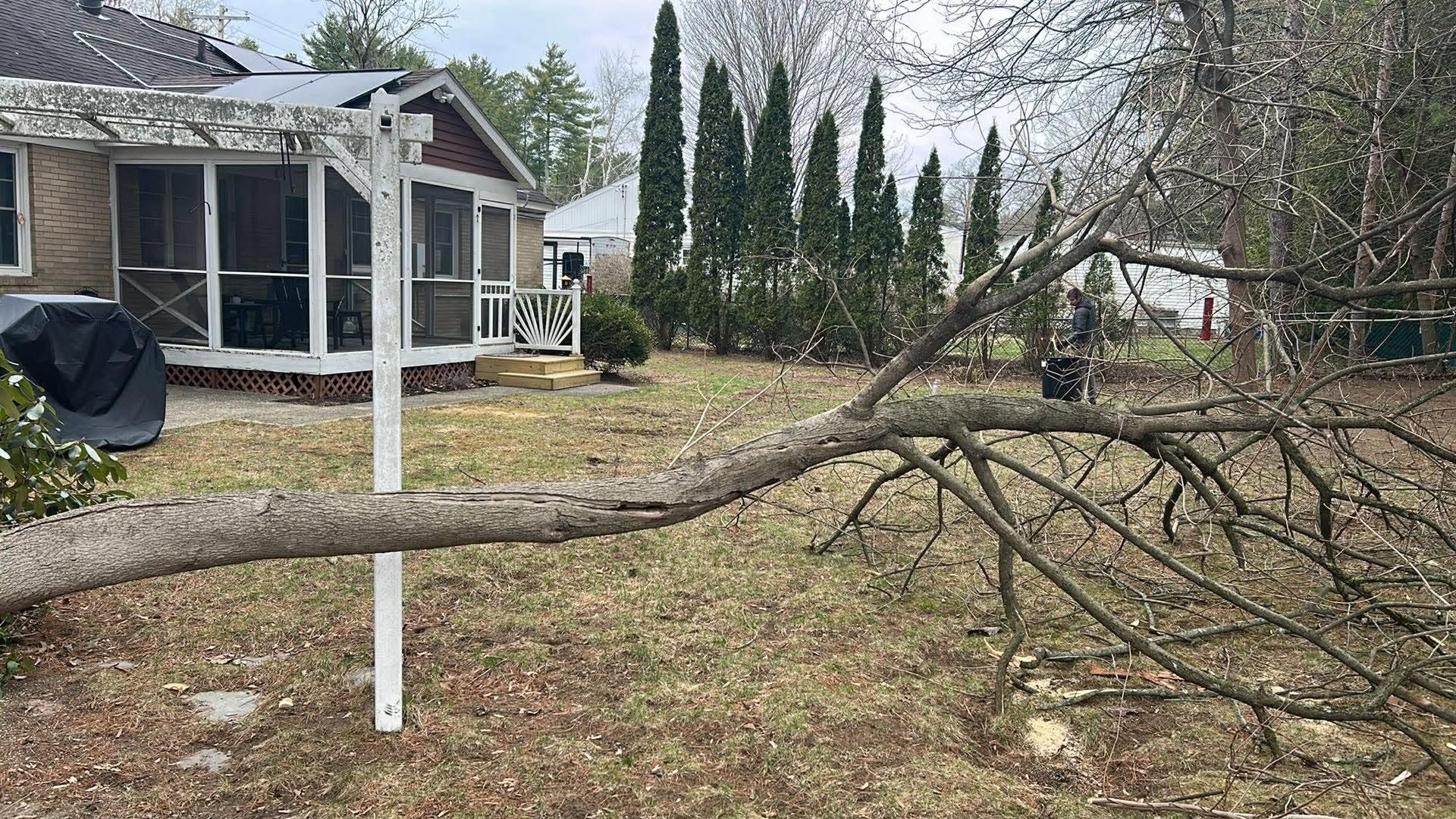 Large fallen tree branch in a yard beside a house, with a white post and overcast sky.