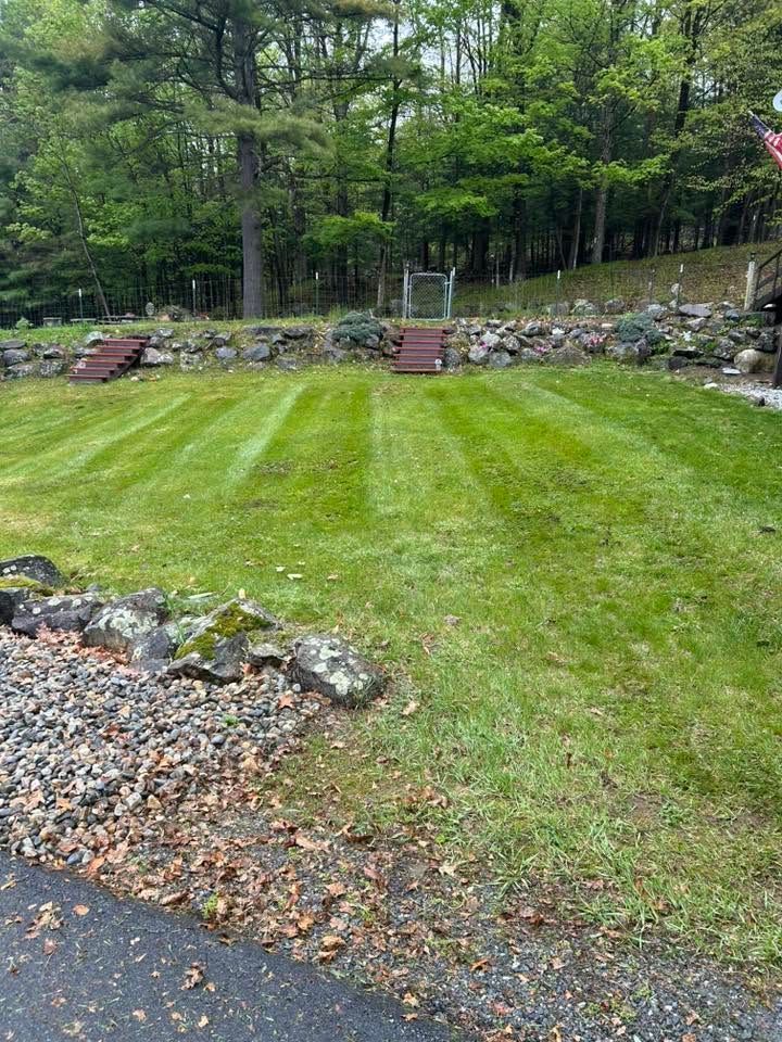 Freshly mowed grassy yard with stone retaining wall and trees in the background