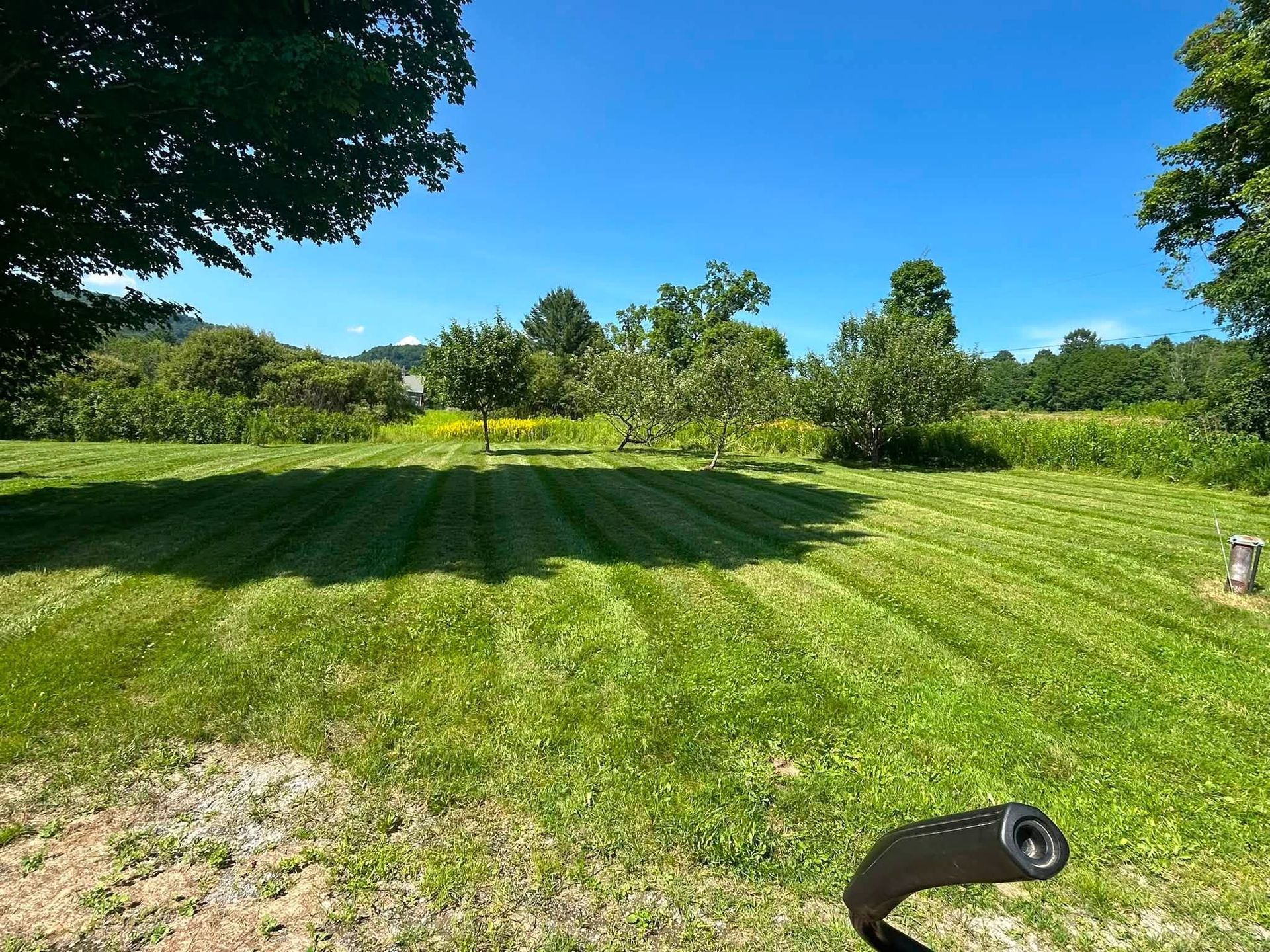 Sunny green lawn with tree shadows, blue sky, and a black sprinkler head in the foreground