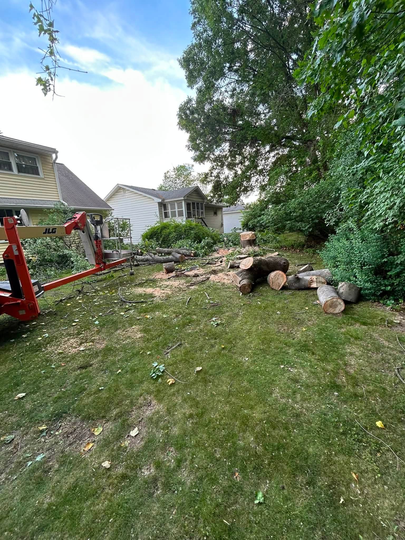 Backyard with fallen tree branches, a red swing set, lawn, and houses under a partly cloudy sky