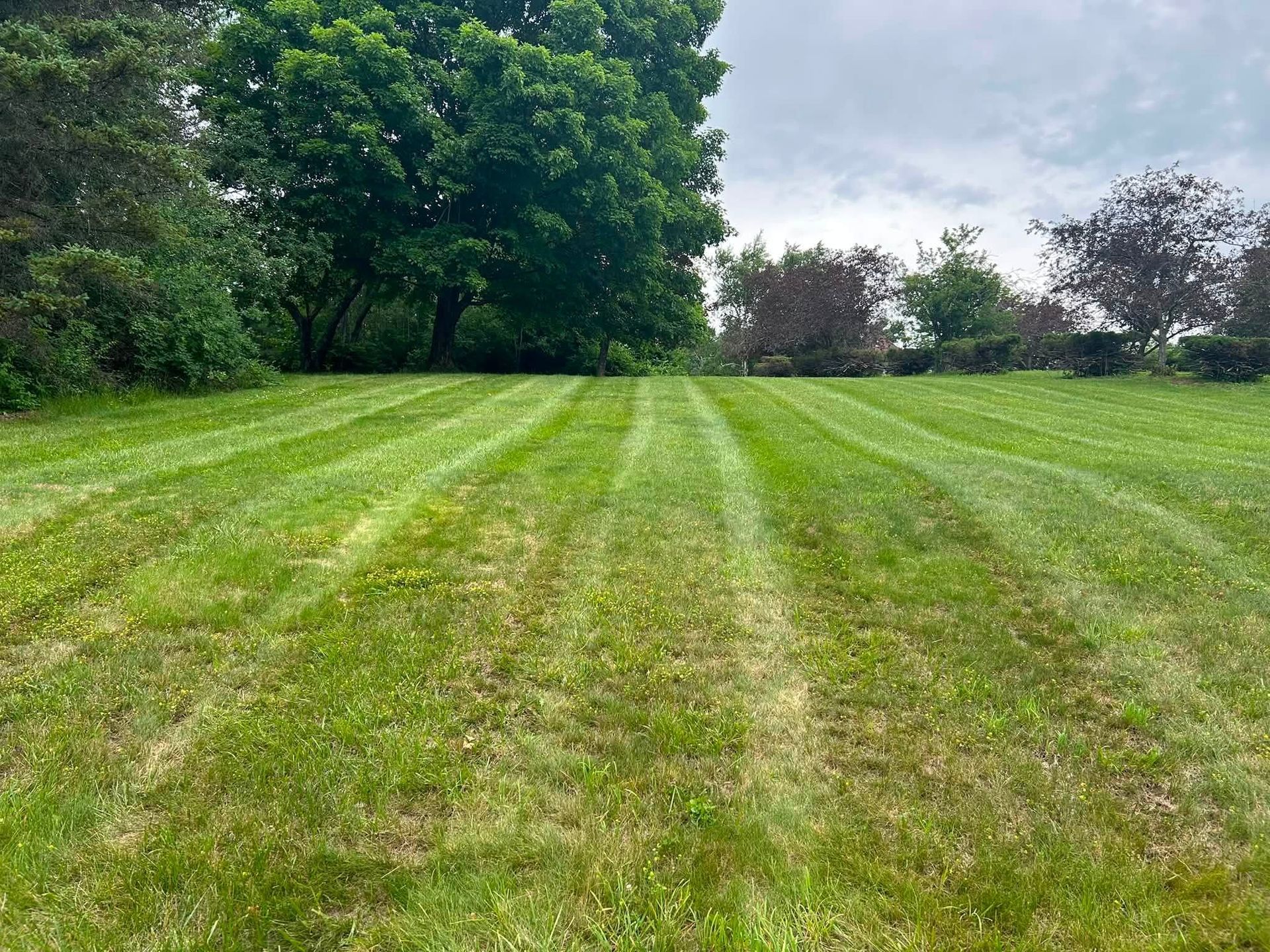 Freshly mowed grassy field with striped lines, bordered by dense green trees under a cloudy sky