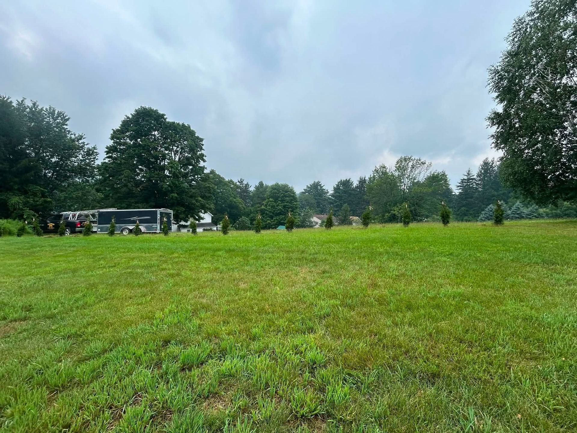 Grassy field with trees under a cloudy sky, with a bus parked at the left edge.