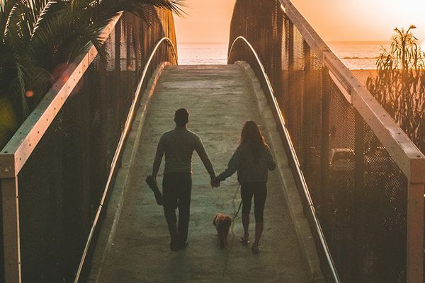 Couple walking hand in hand up a sunlit beach stairway with a small dog between them