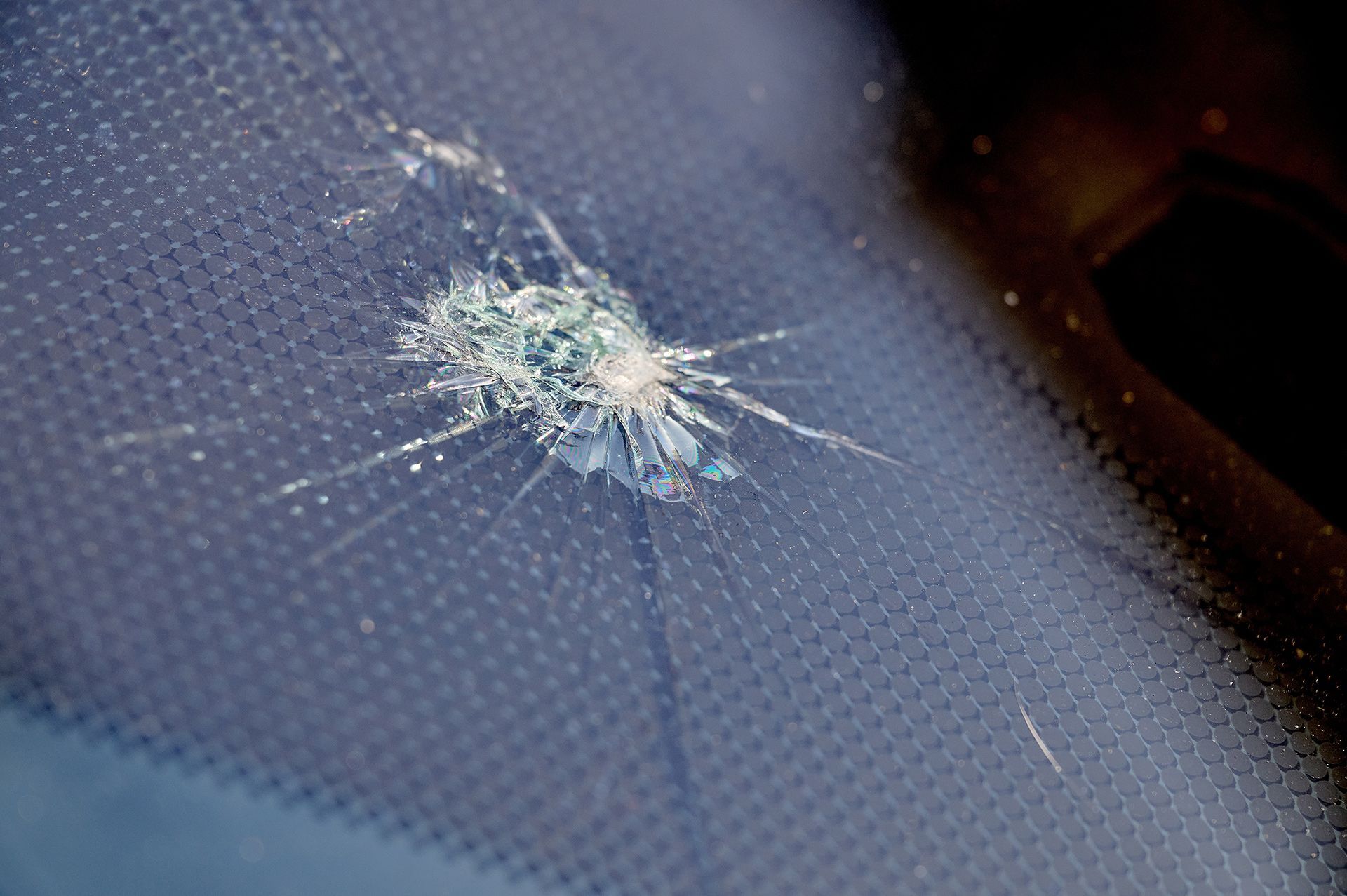 Frayed white thread or insect debris on dark blue fabric surface