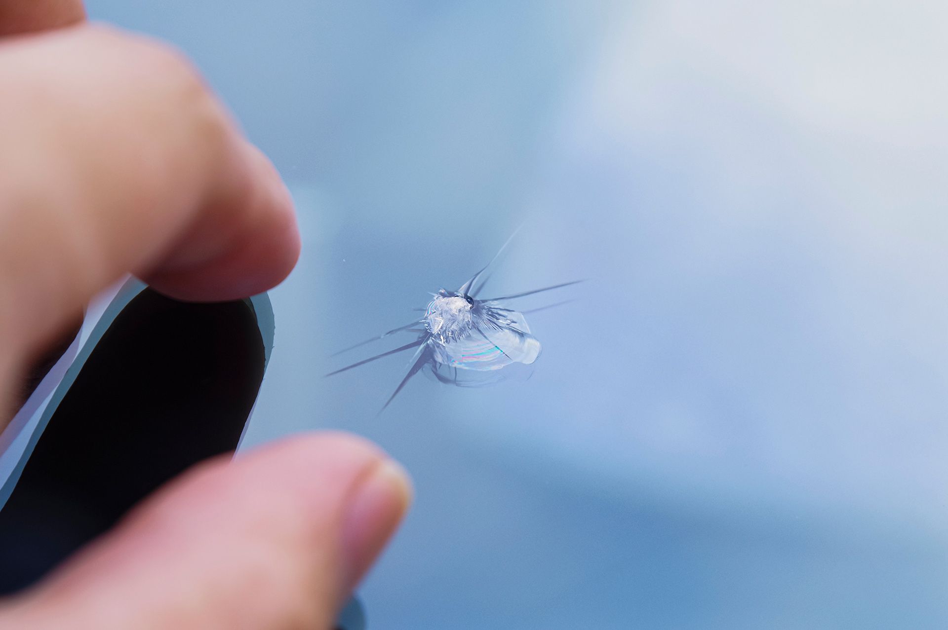 Frayed white thread or insect debris on dark blue fabric surface