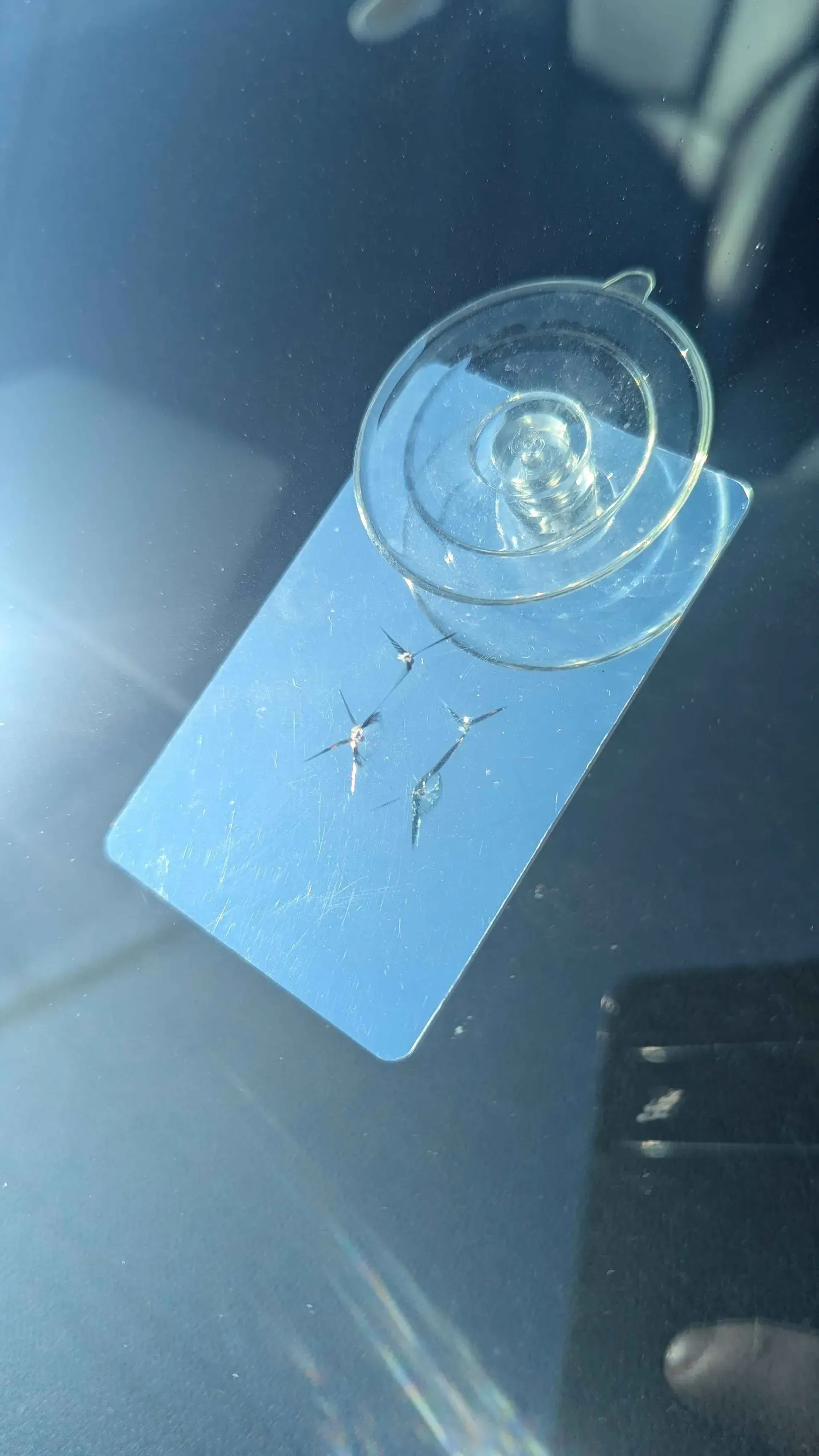 Blue card with a round suction cup or sticker attached, on a dark reflective surface.