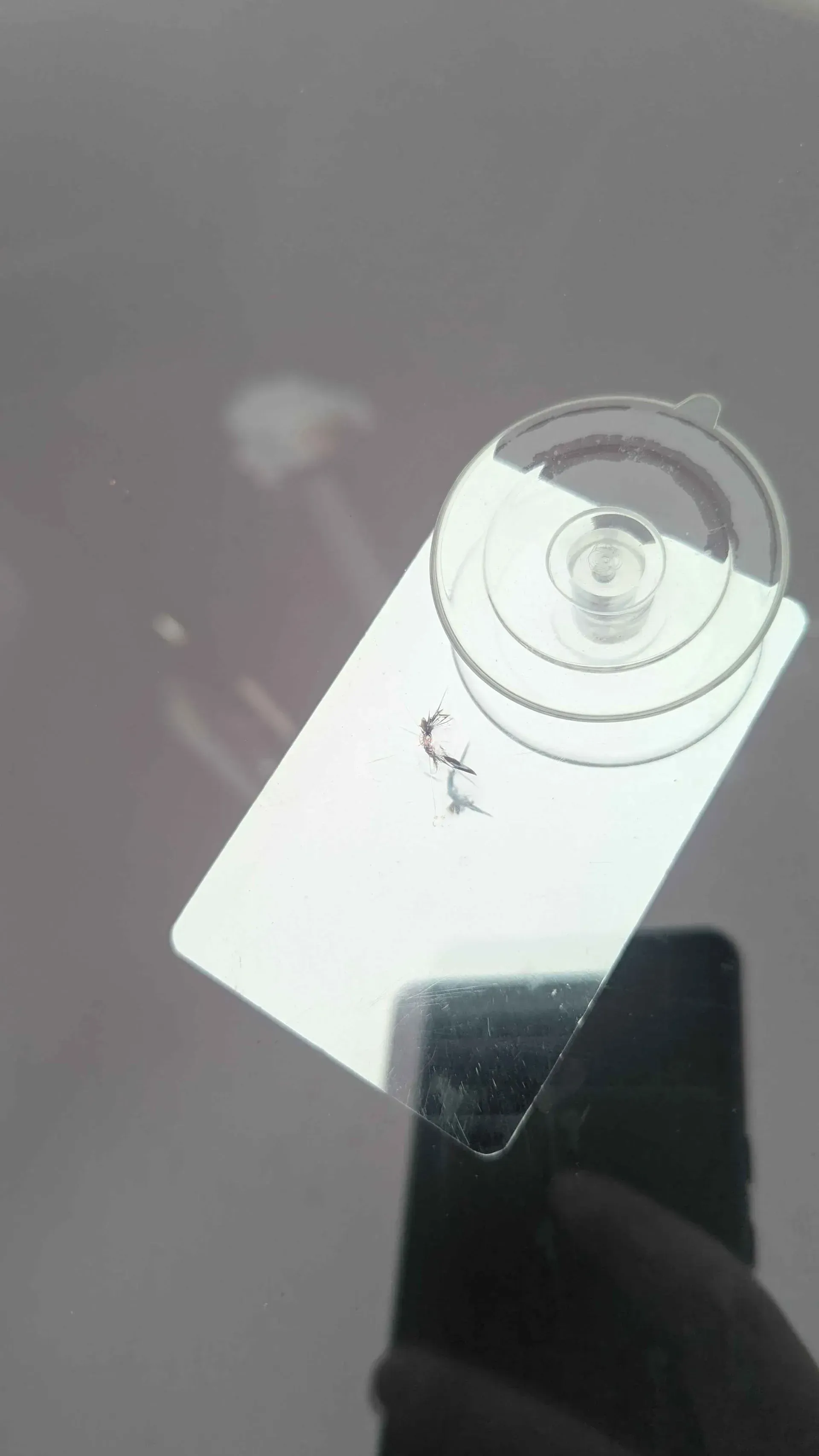 Close-up of a white smartphone with a circular pop socket on a dark reflective surface.