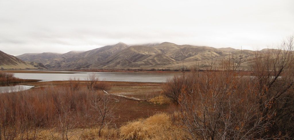 Brown marshland and a calm lake with distant wooded hills under an overcast sky