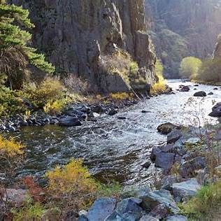 Rocky river flowing beside steep cliffs and sunlit forest in a mountain canyon