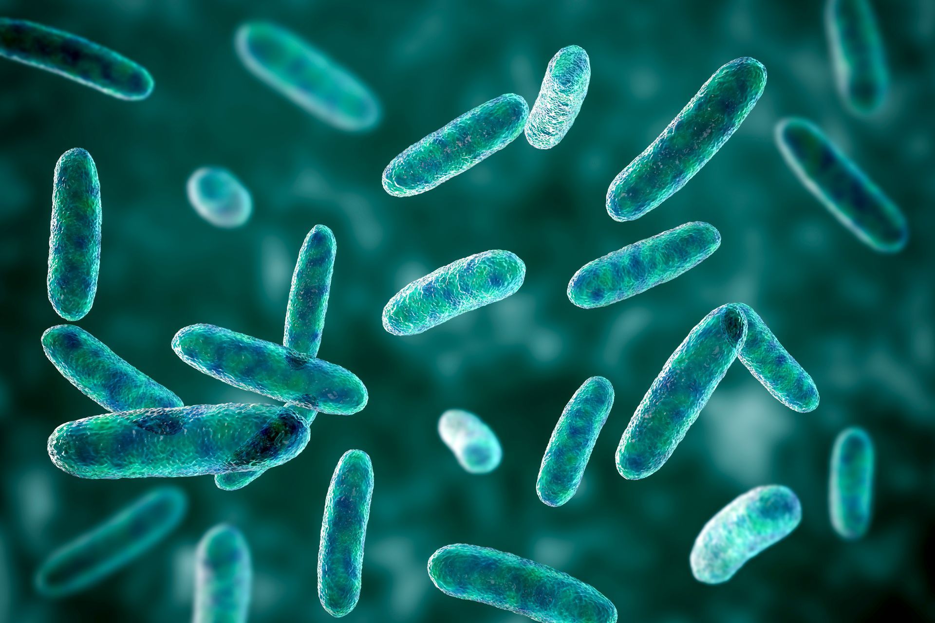 Bacteria and Coliforms Testing - Loren Findorak Drilling Inc.