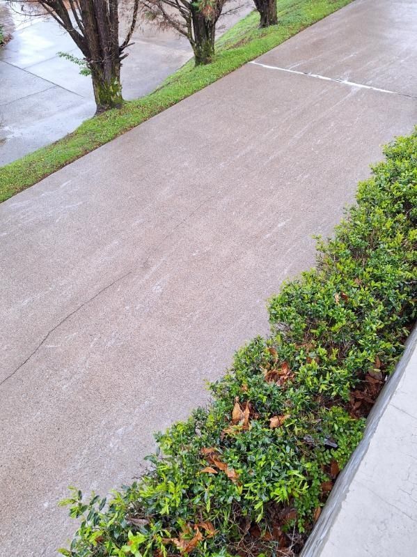 Concrete sidewalk beside a landscaped hedge, with a grassy slope and wet roadway in the background