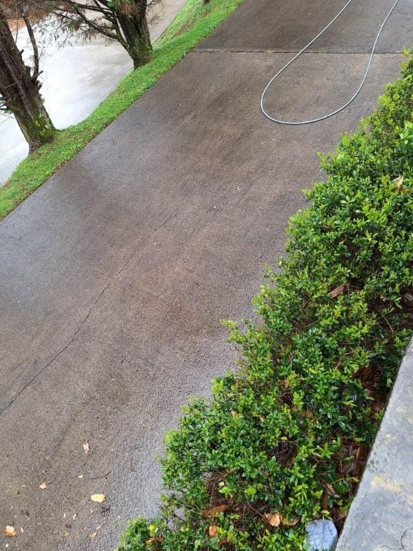 Wet concrete walkway beside green hedges and water, with a coiled hose on the path.
