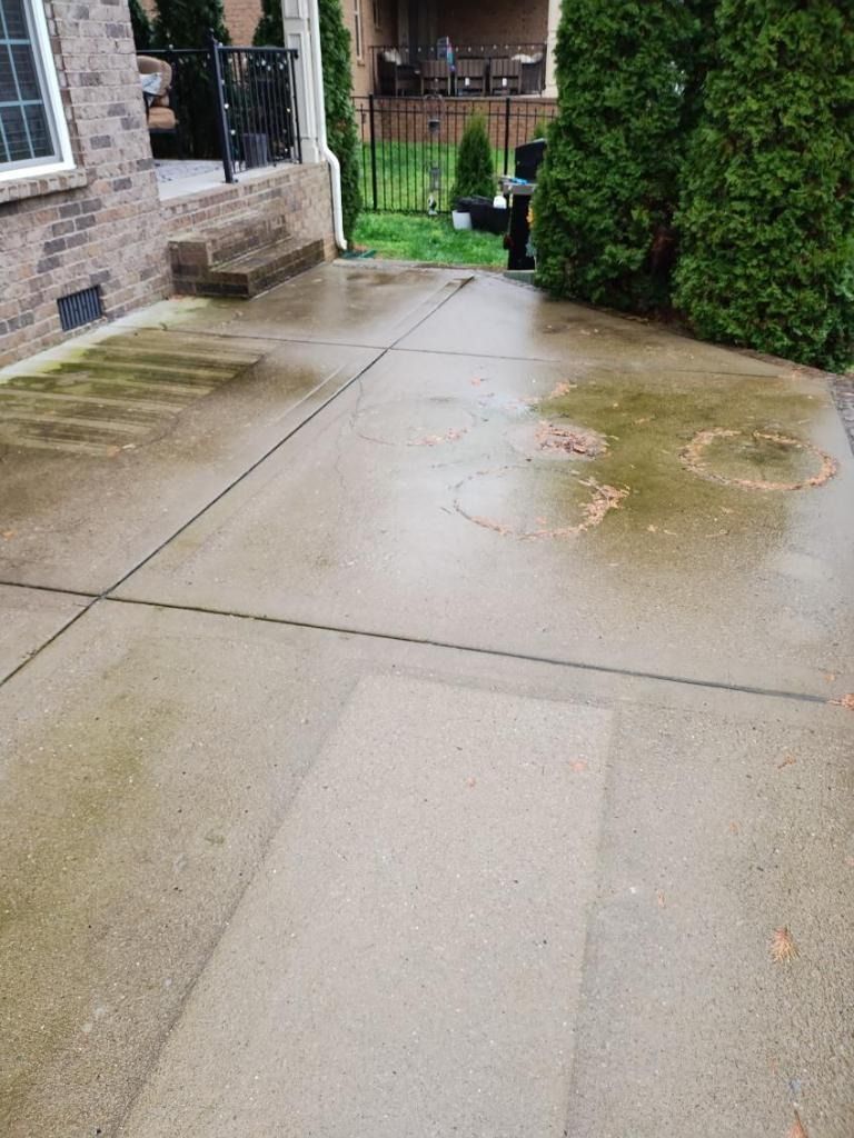 Wet concrete driveway beside a brick house and tall hedge, with a small step and garden gate ahead.