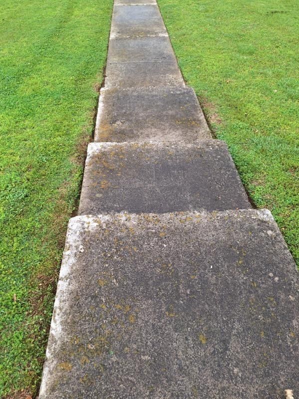 Concrete sidewalk through green grass lawn