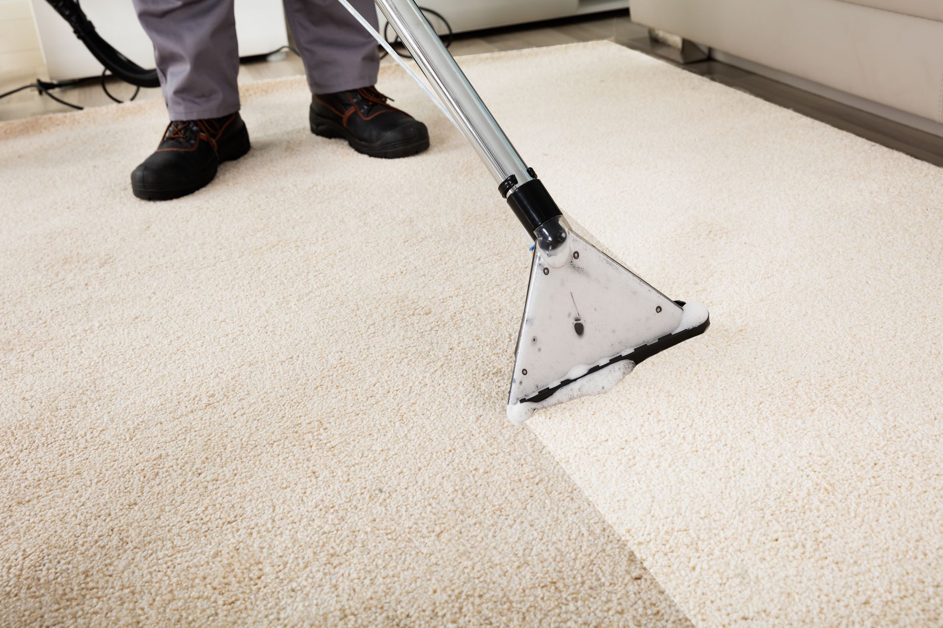 Carpet Cleaning in Providence, RI Carpet Cleaning in Providence, RI