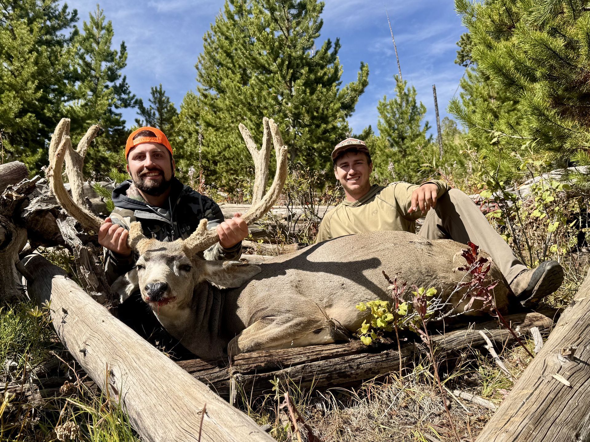 Two men pose with a large buck in a forest, smiling. One holds the antlers, the other sits. Sunny day.