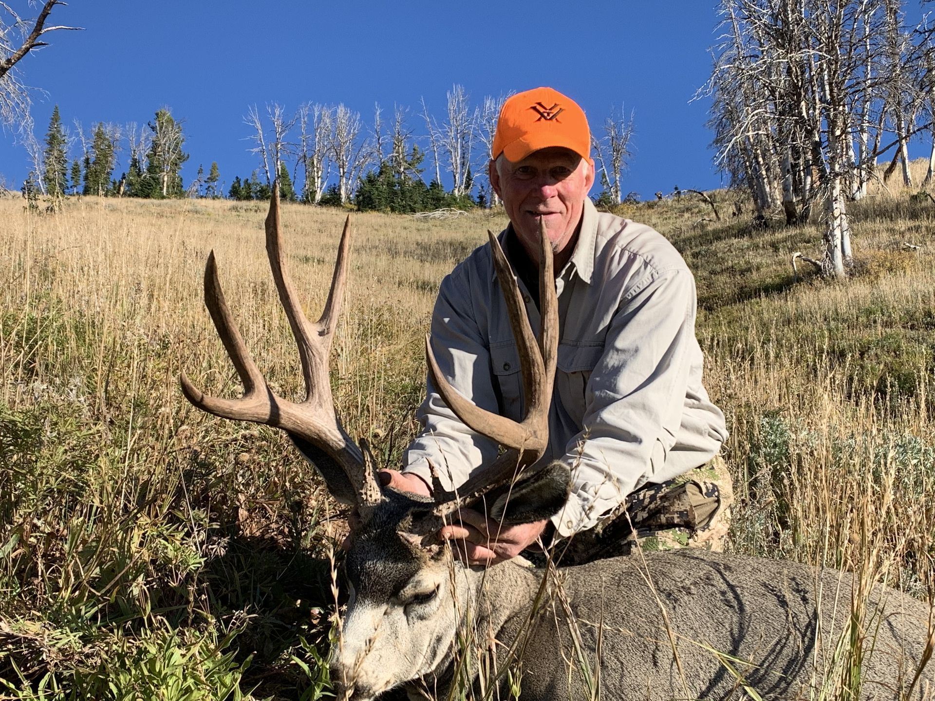 Man in orange hat kneels beside a harvested deer in a grassy field, holding its antlers. Bright blue sky.