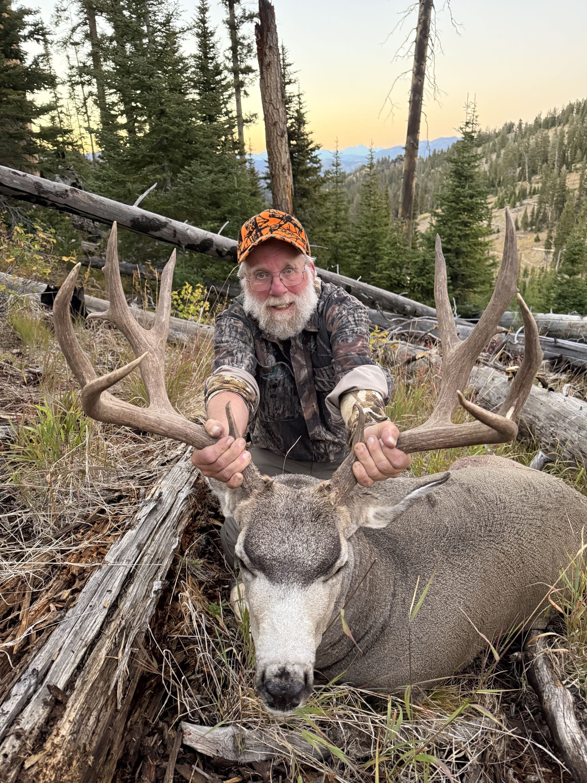 Hunter holding large-antlered deer in mountainous setting, wearing camouflage and orange cap.
