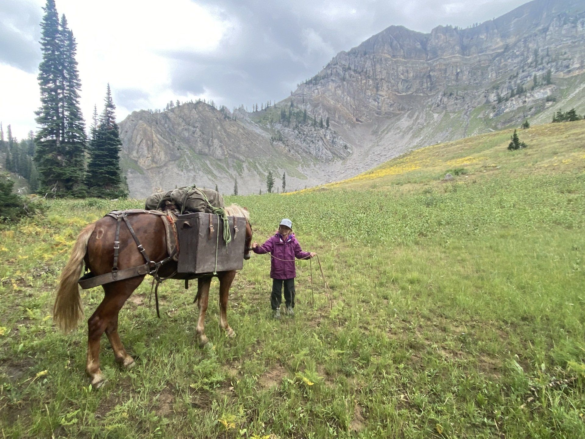 A person in a purple jacket stands near a pack horse in a green meadow with a mountain backdrop.