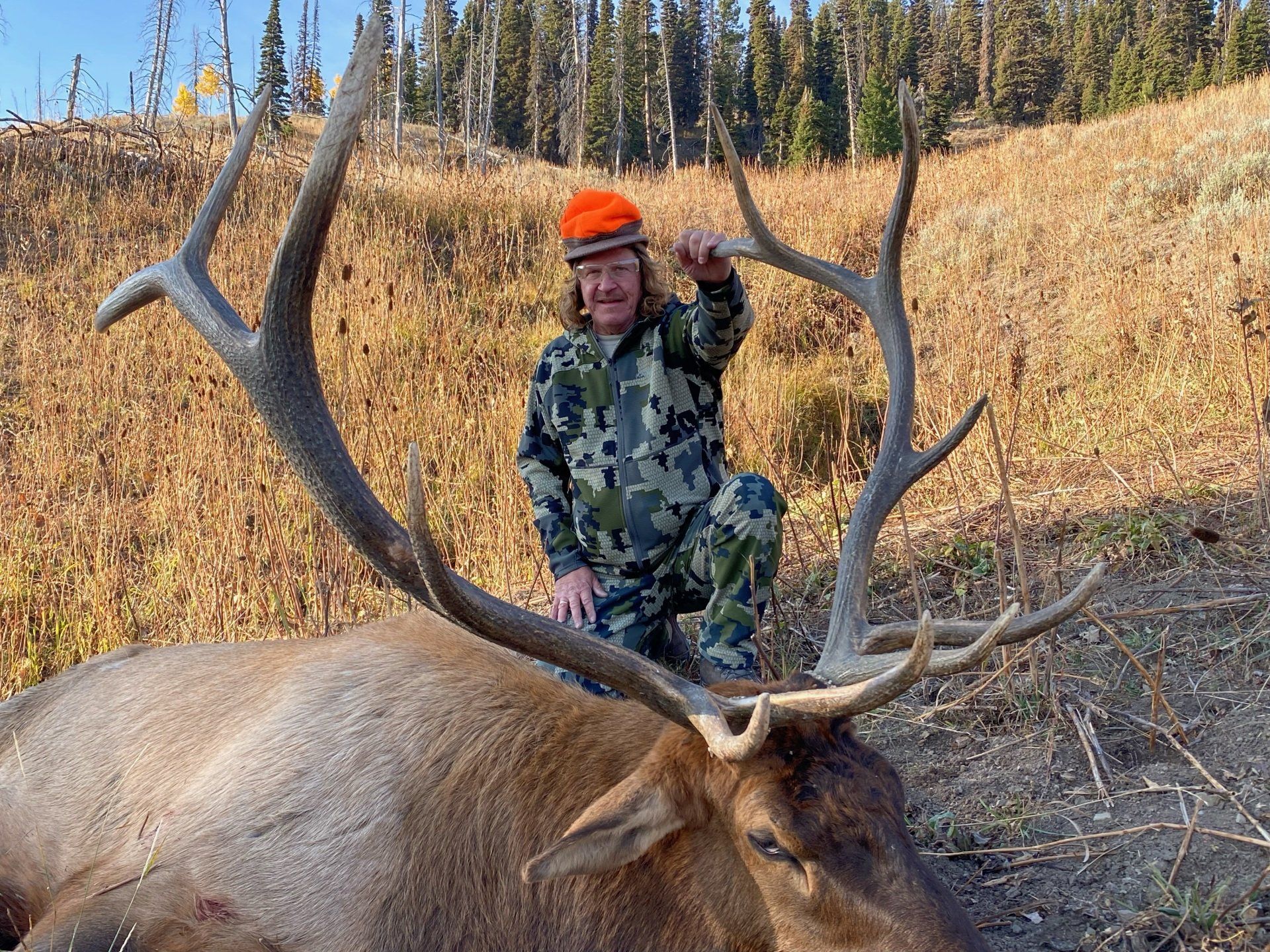 A man in a camouflage uniform is kneeling next to a large elk.