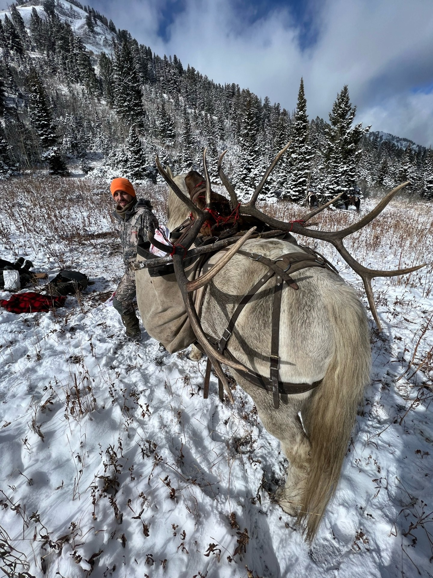 A man is riding on the back of a horse in the snow.