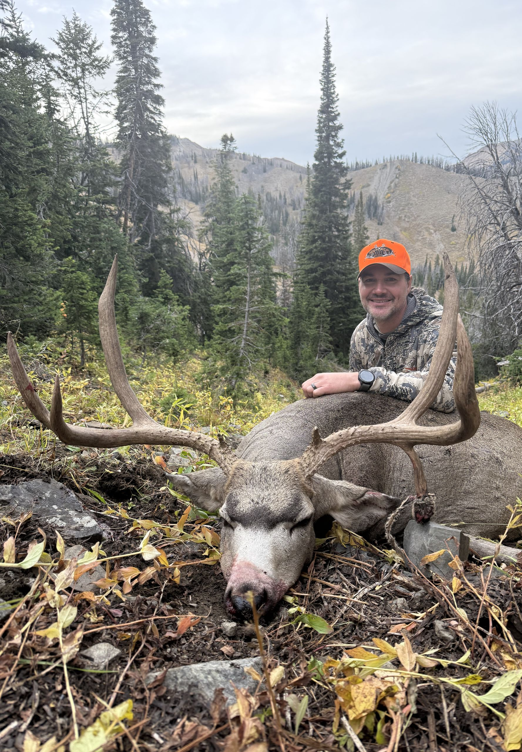Young person in camouflage, orange hat, smiles beside large deer. Mountain backdrop.
